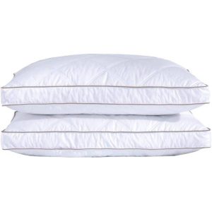 Goose Feathers and Down Pillow