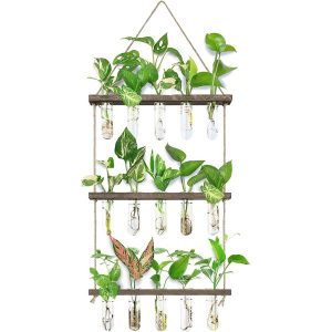Wall Hanging Propagation Station